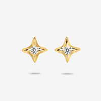 Stardust Earrings